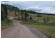 Road